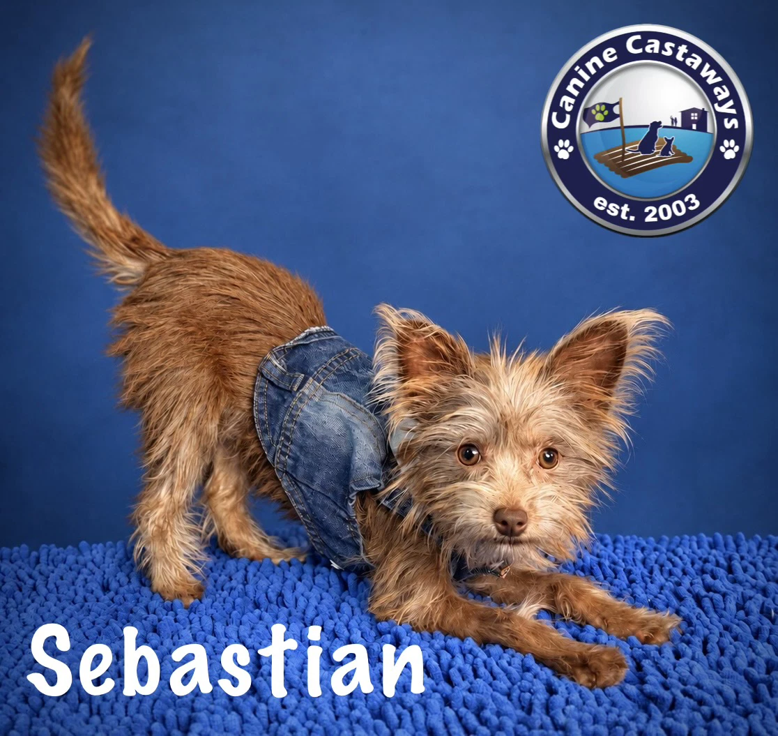 Sebastian