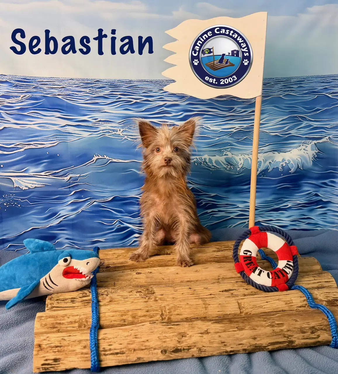 Sebastian image 2