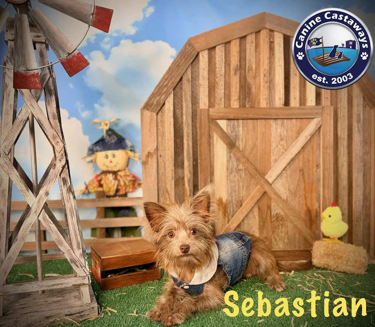 Sebastian image 3