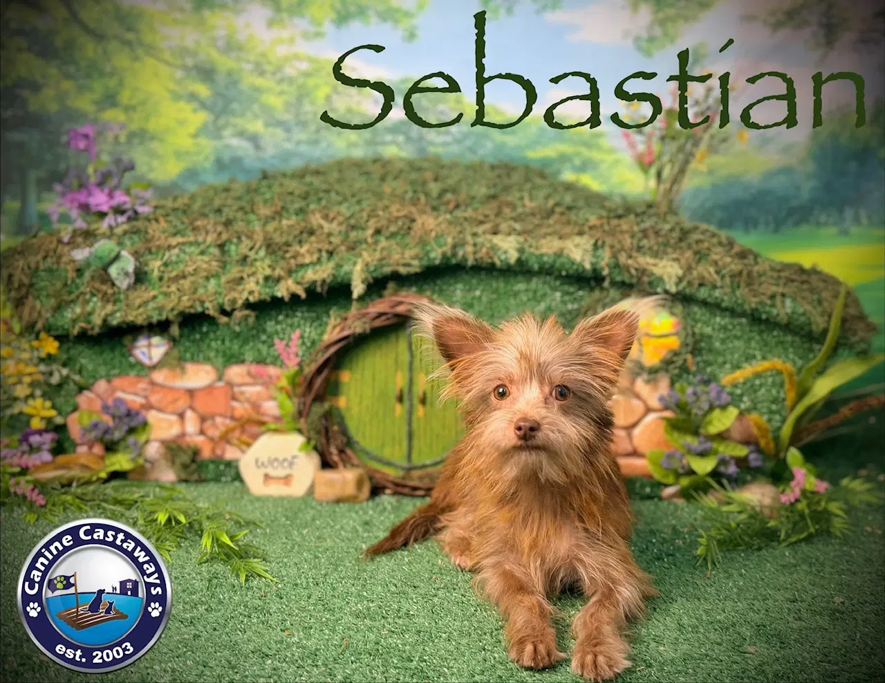 Sebastian image 4