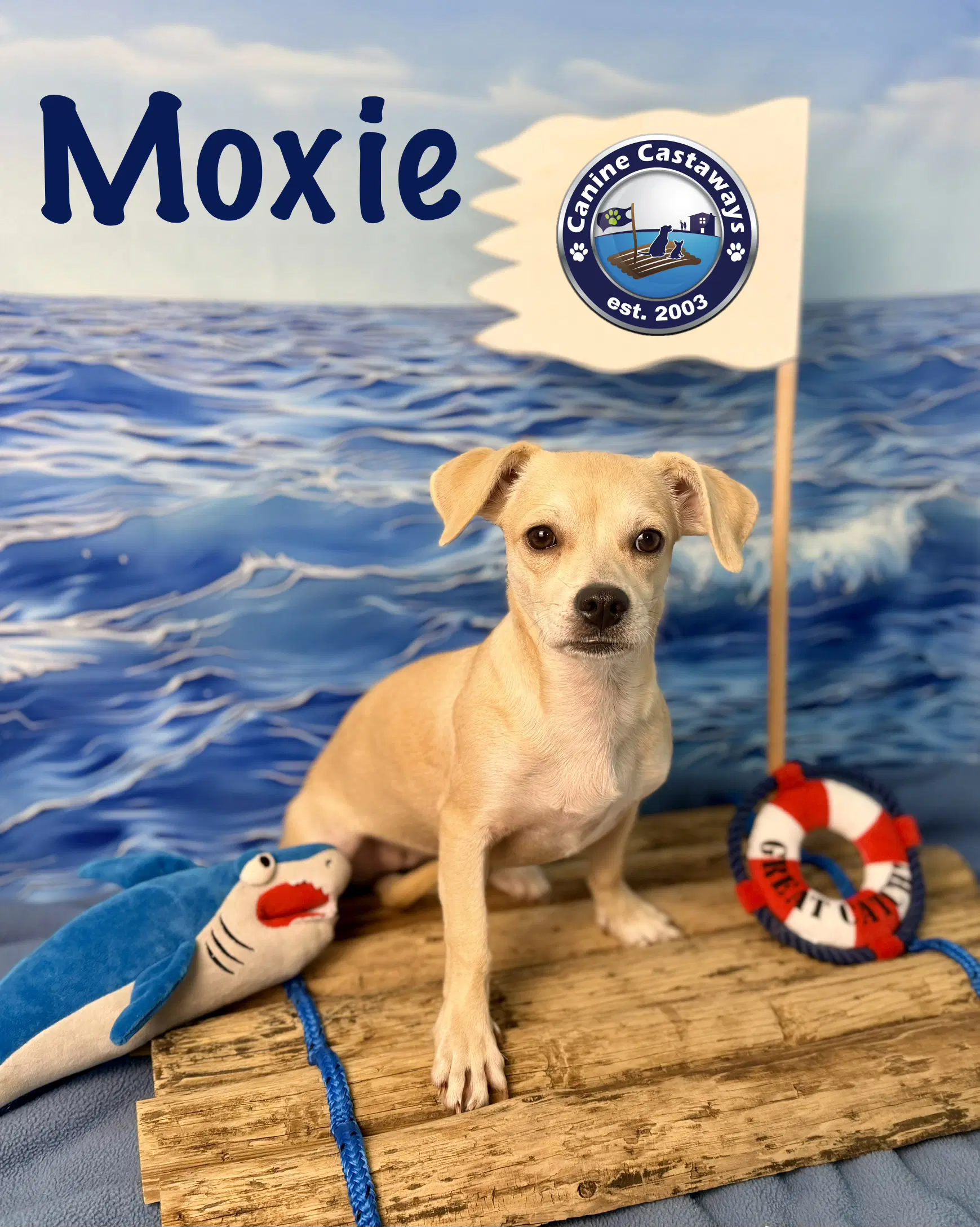 Moxie image 2