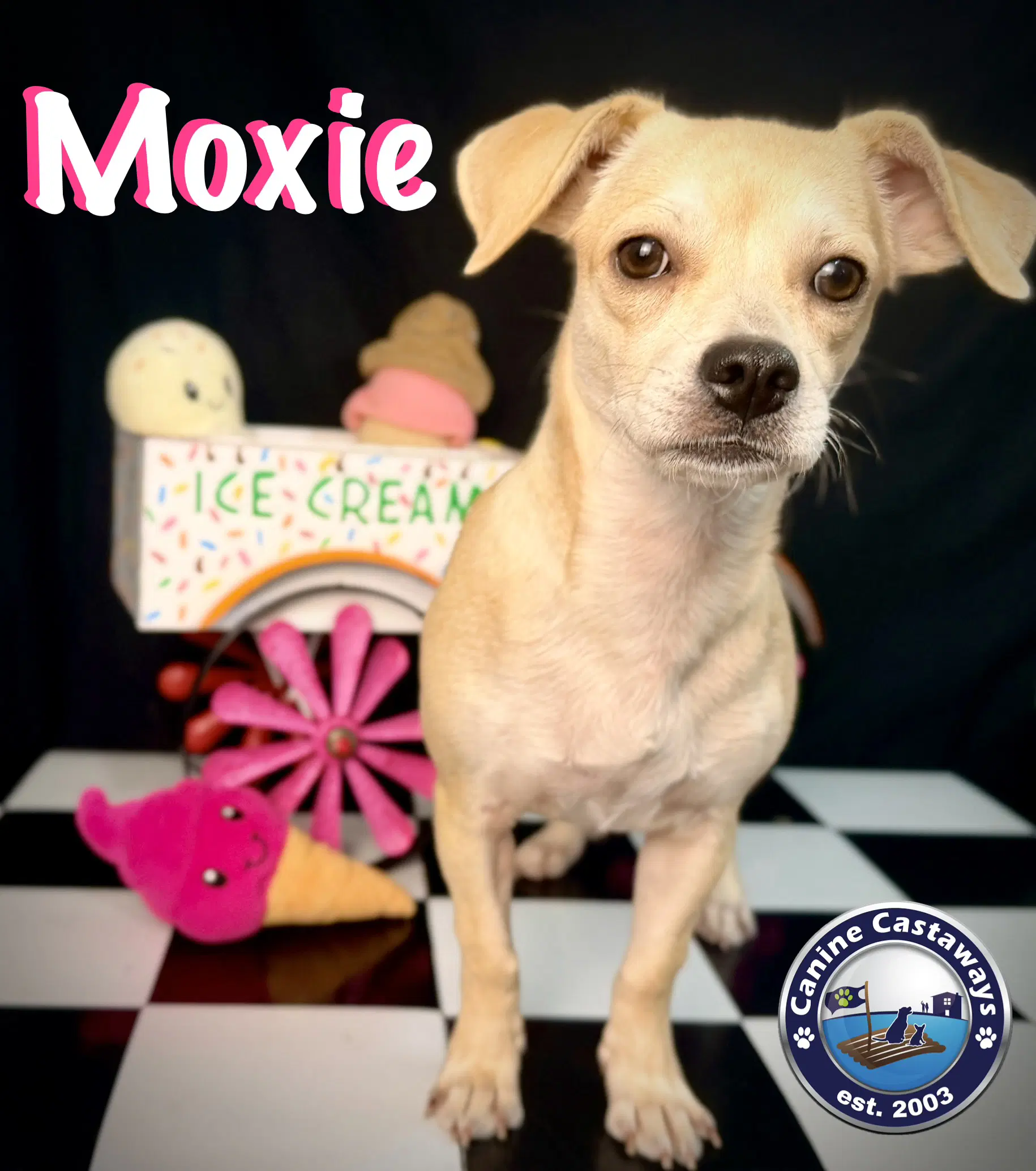 Moxie image 3