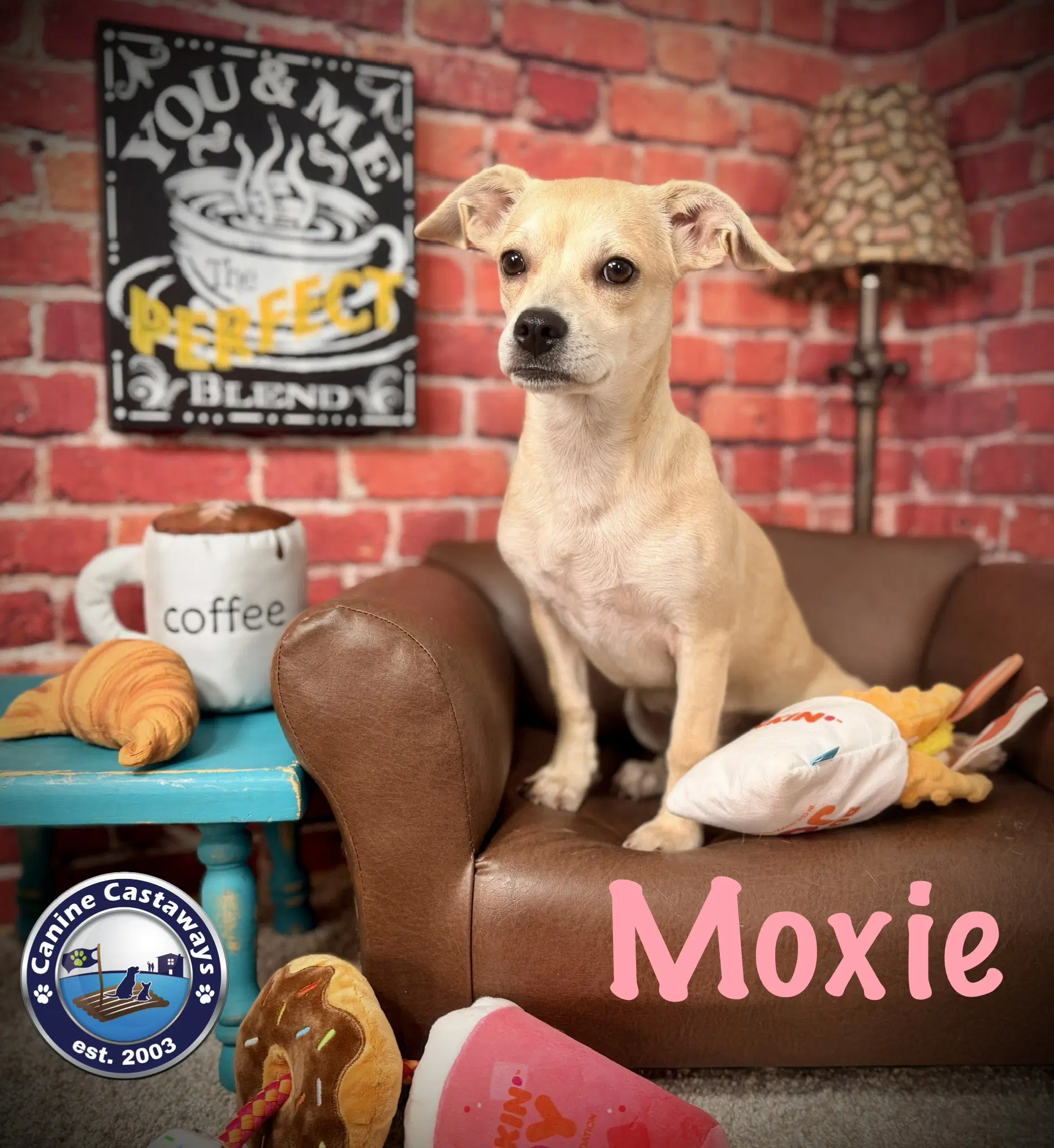 Moxie image 4