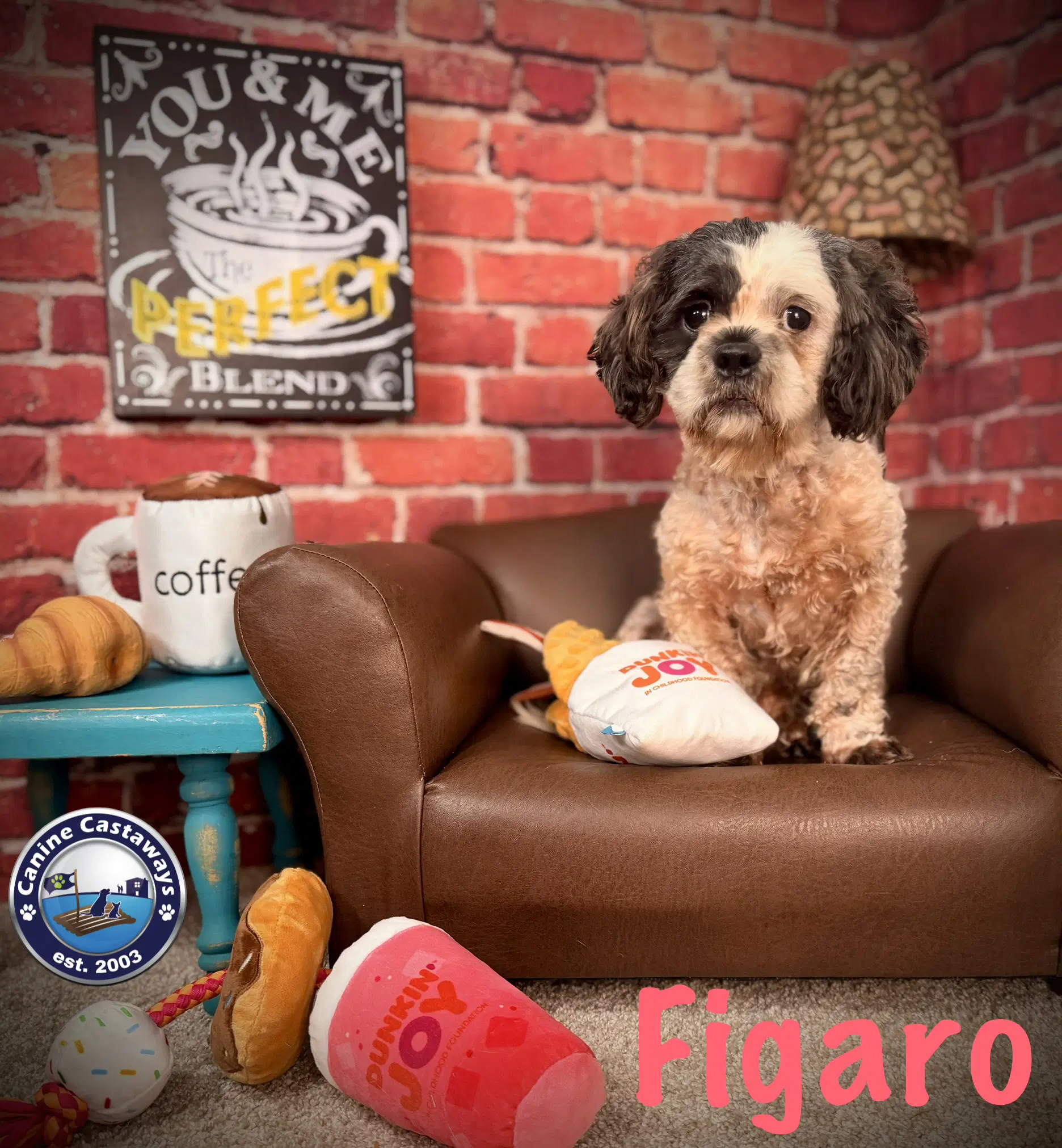 Figero image 2