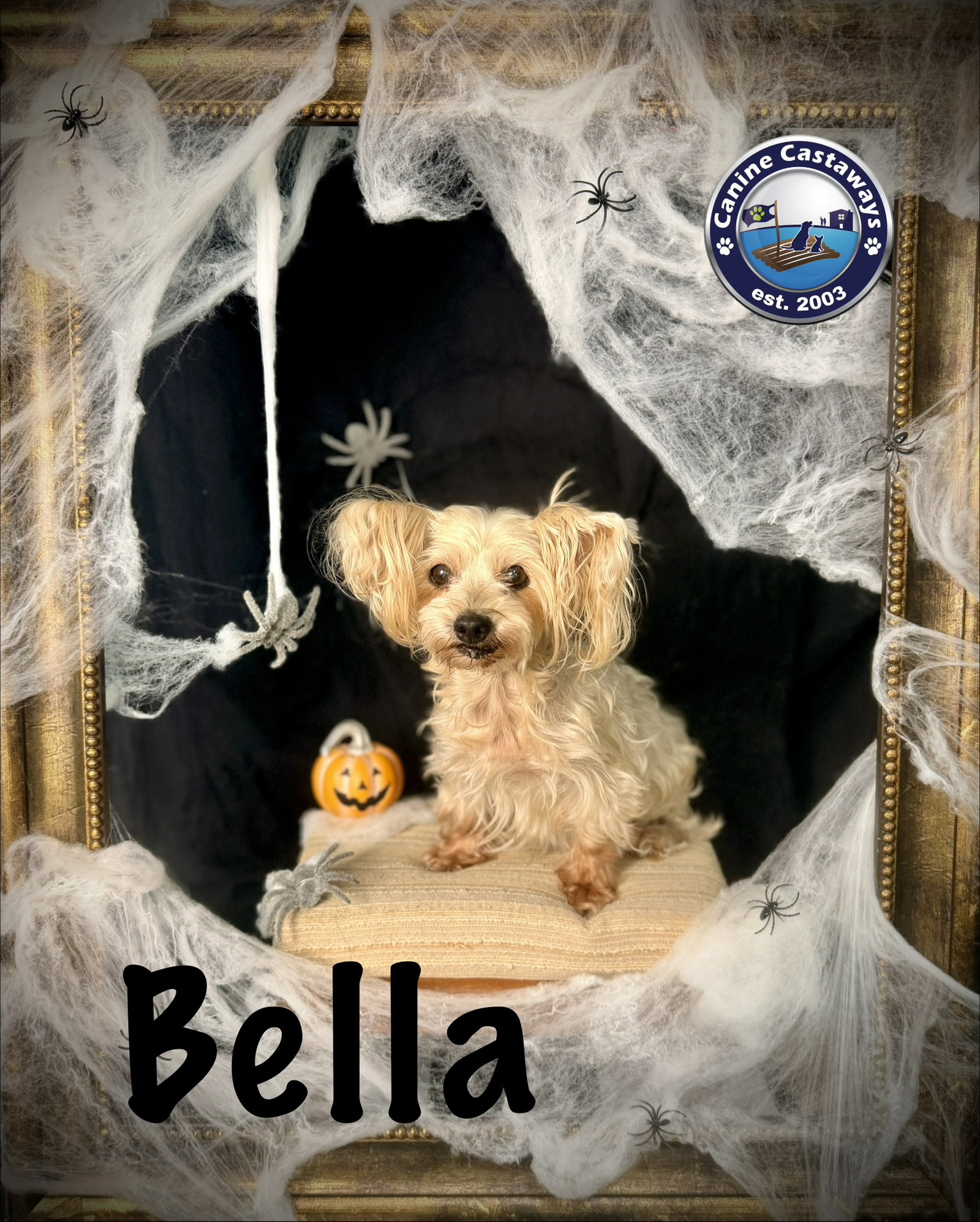 Bella