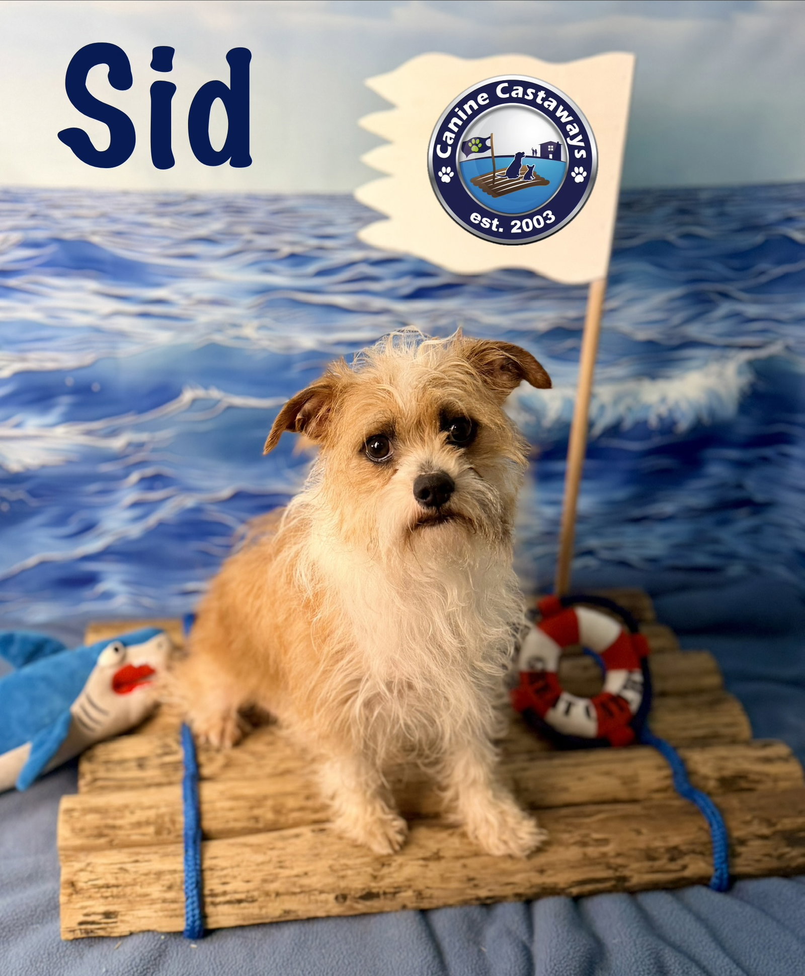 Sid