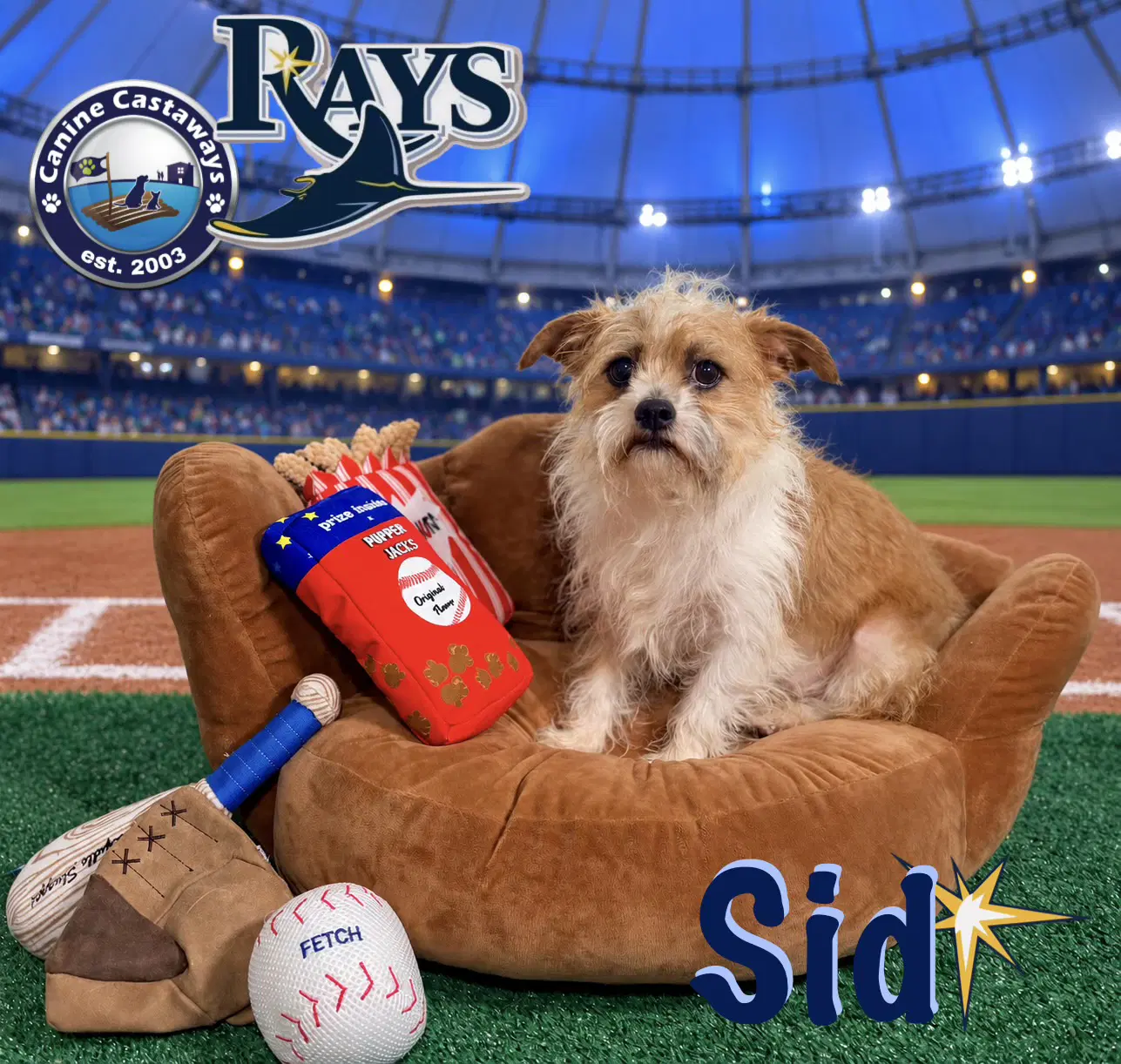 Sid image 2