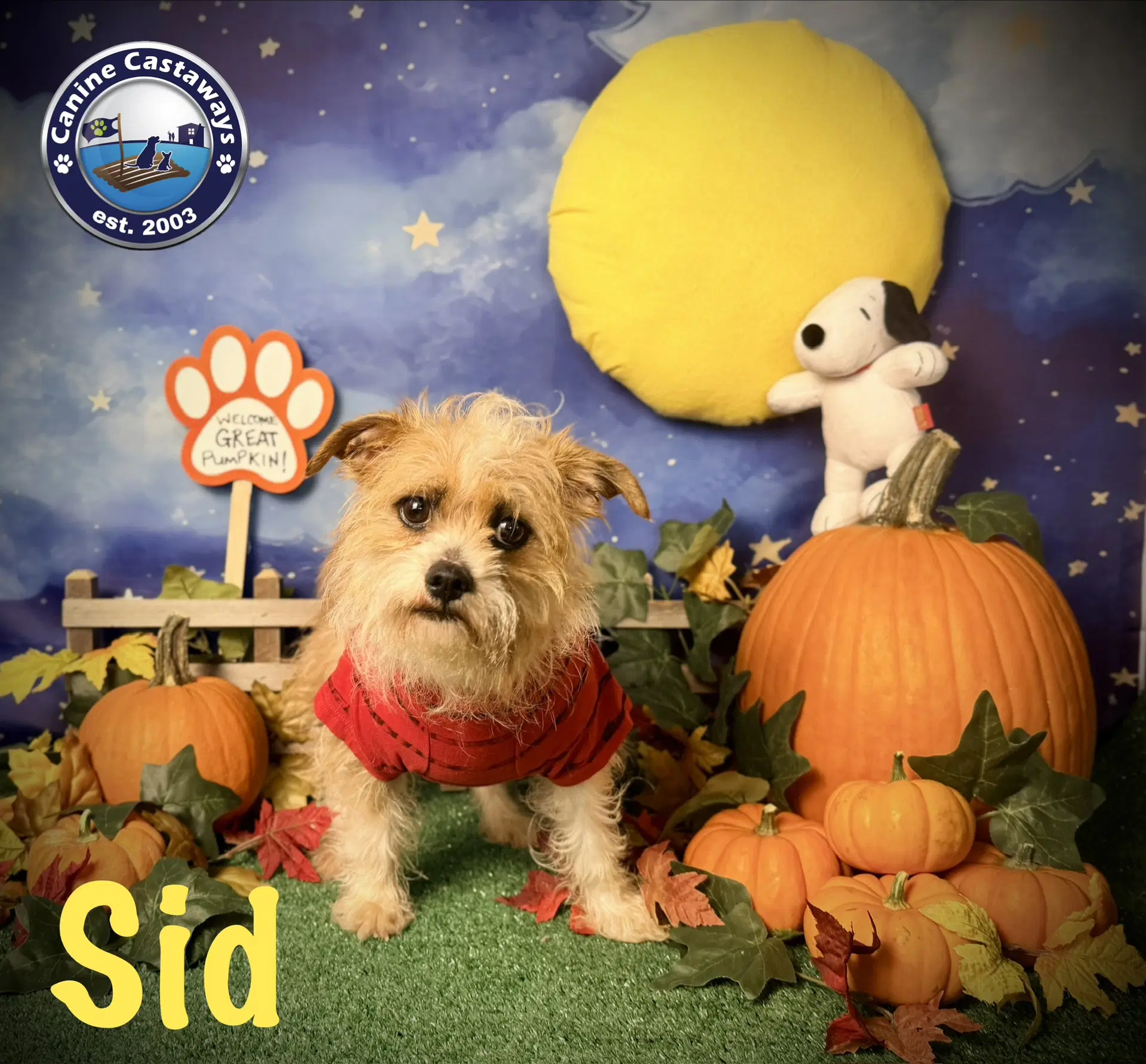 Sid image 3