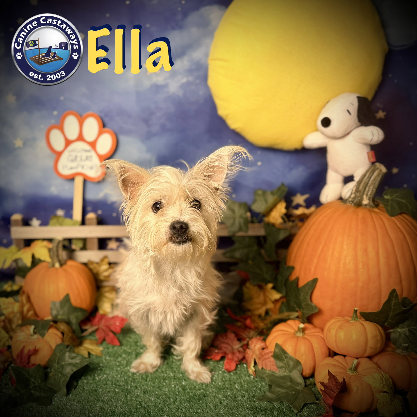 Ella