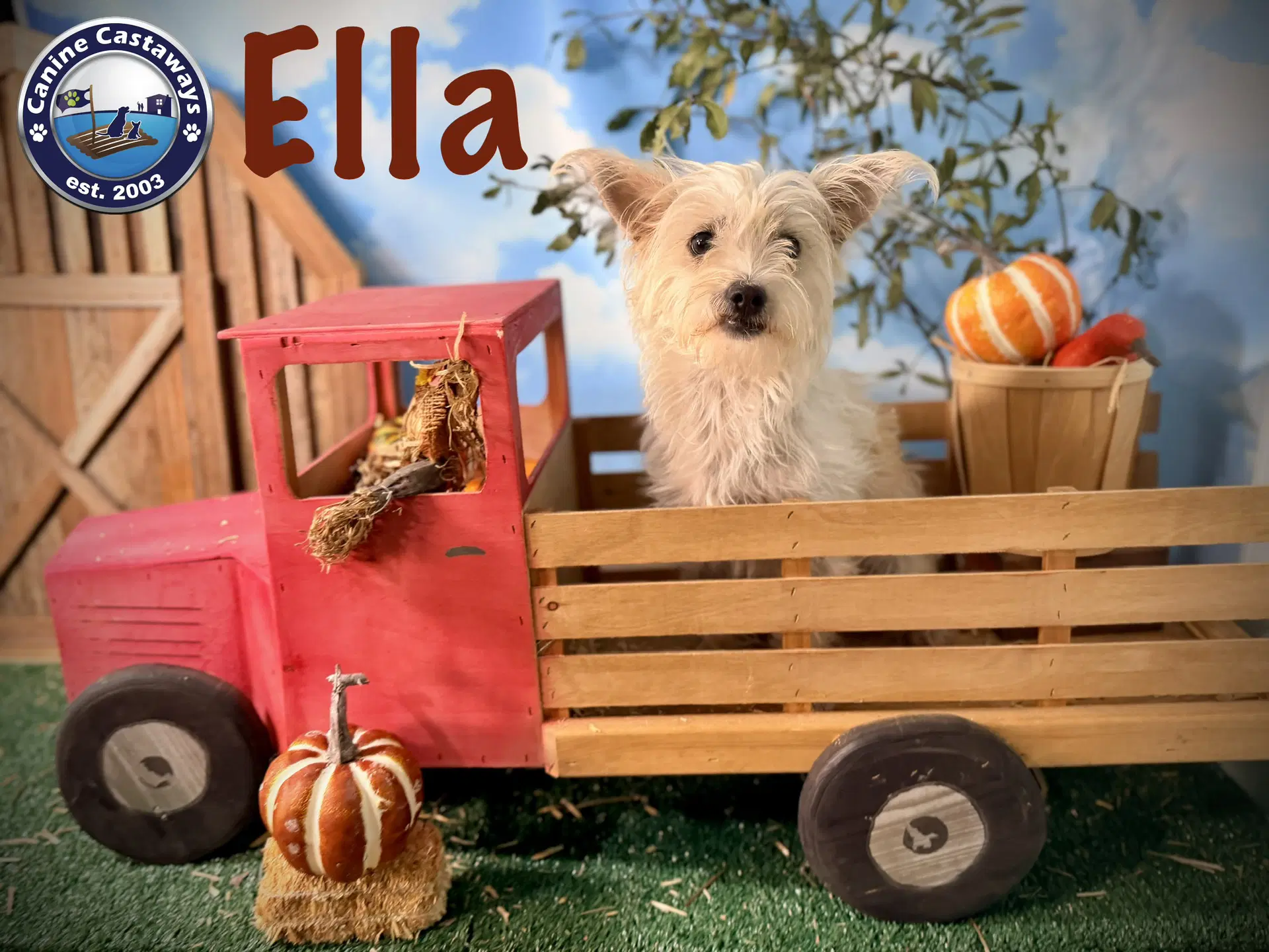 Ella image 3
