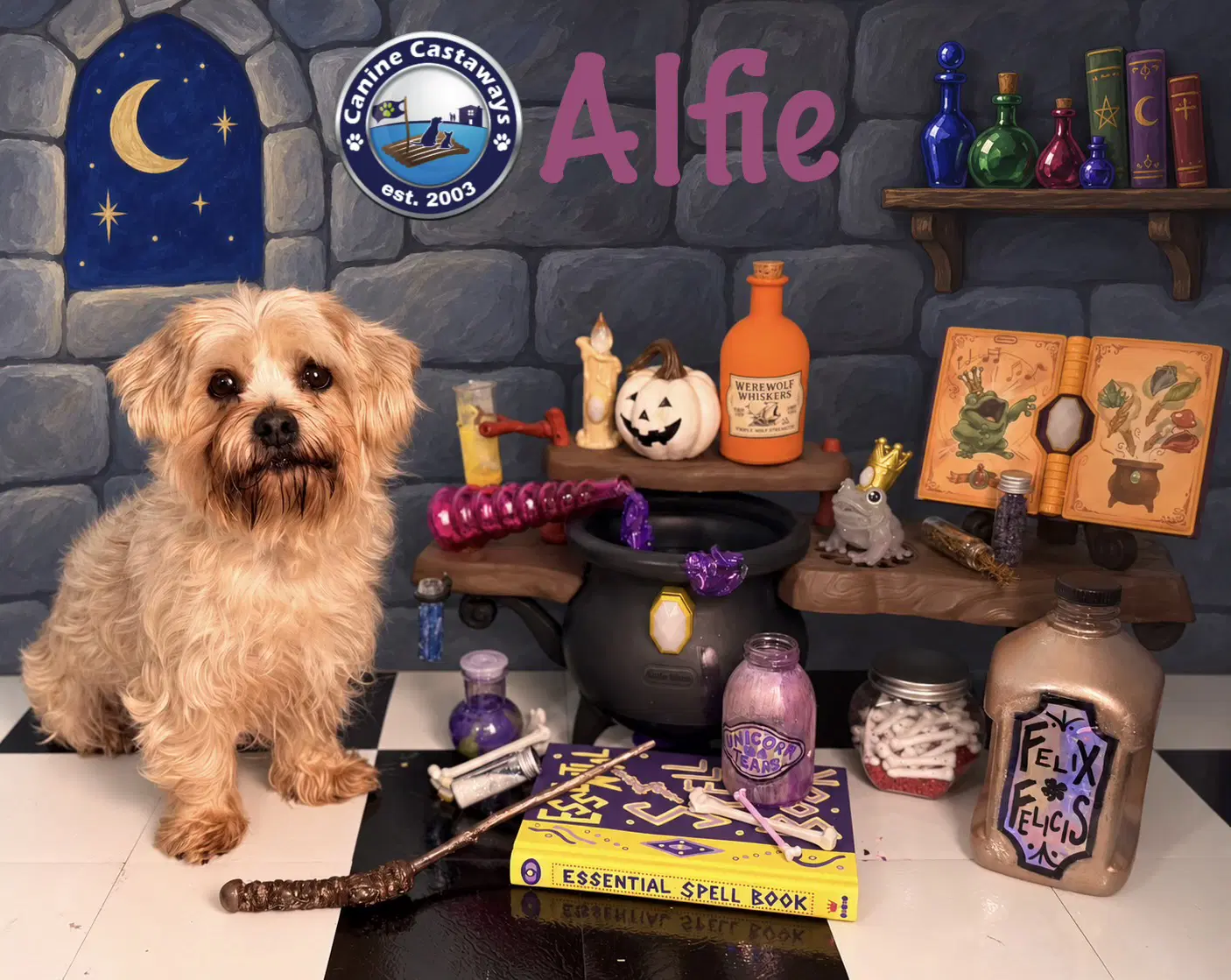 Alfie image 3
