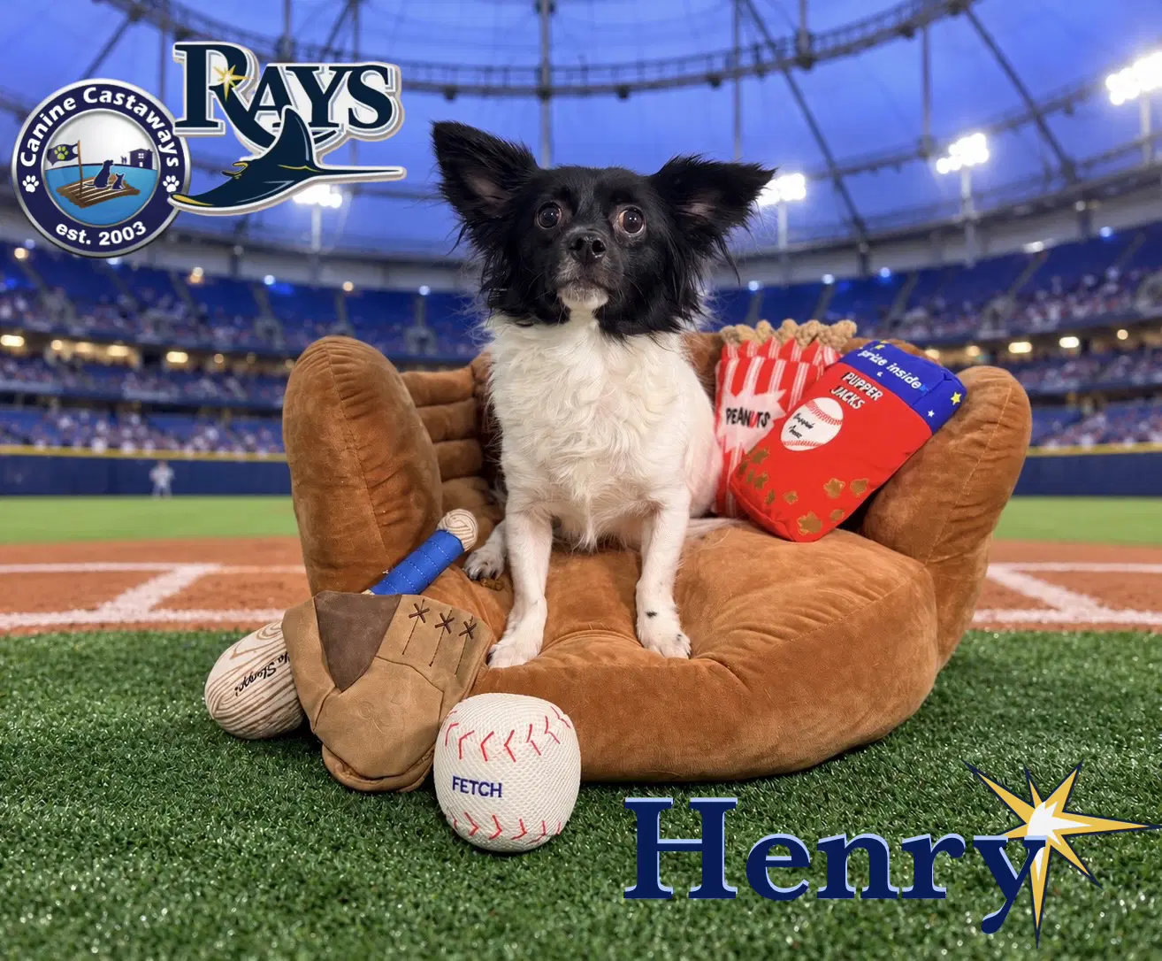 Henry image 2