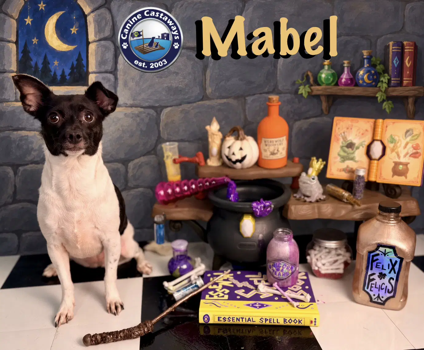Mabel image 2