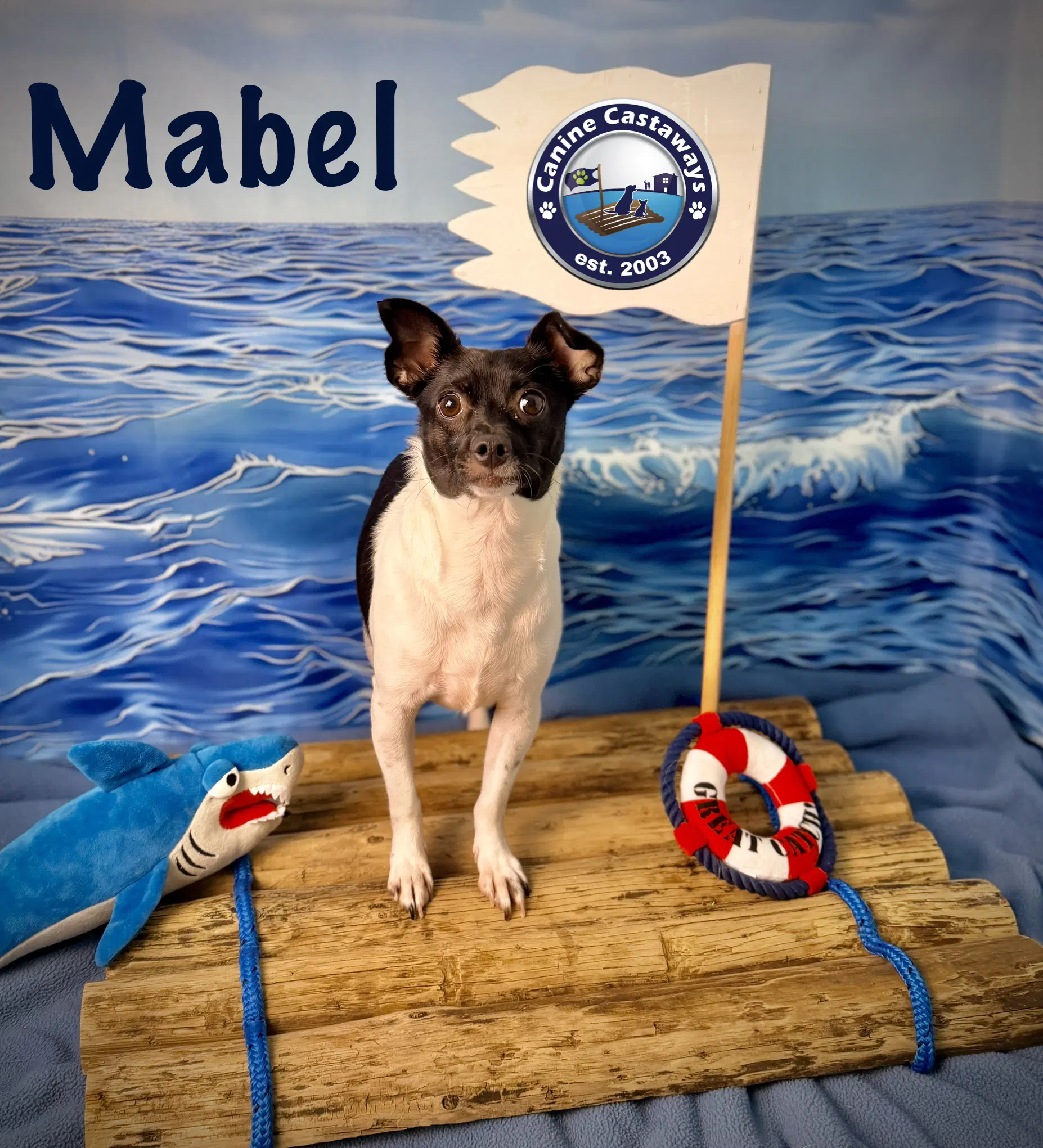 Mabel image 4