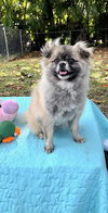 Princess Gia - Photo 2