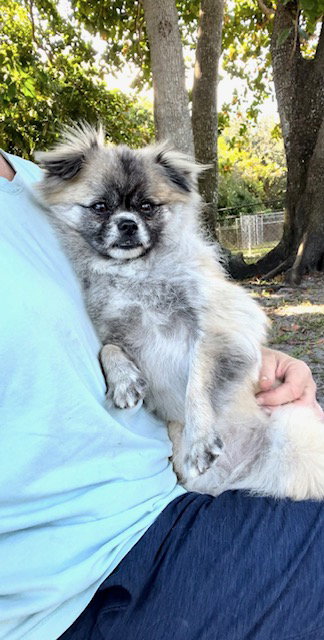 Photo of Princess Gia