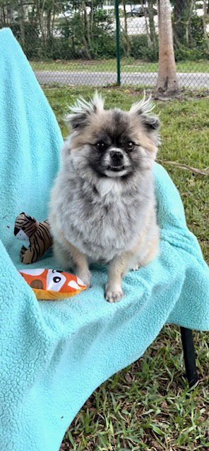 Photo of Princess Gia