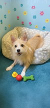 Wanda - Photo 2