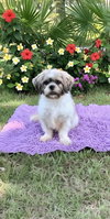 Marnie - Photo 4