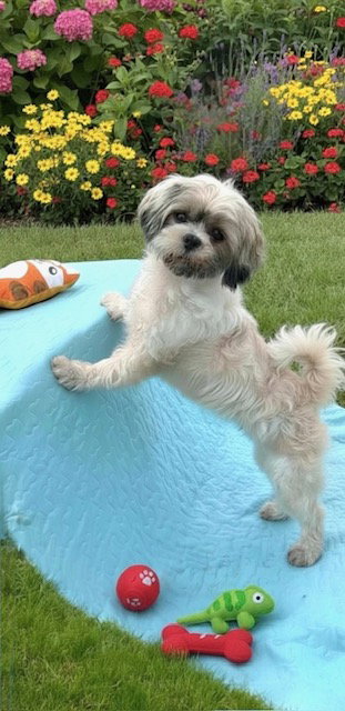 Marnie photo 3