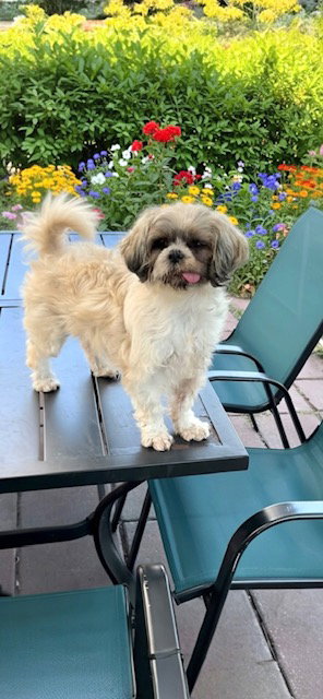 Marnie