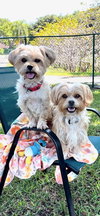 Vincent & Randall - Photo 2