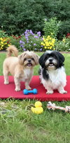 Mikey James & Leo Thomas - Photo 1