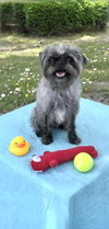 Benjamin Ace - Photo 3