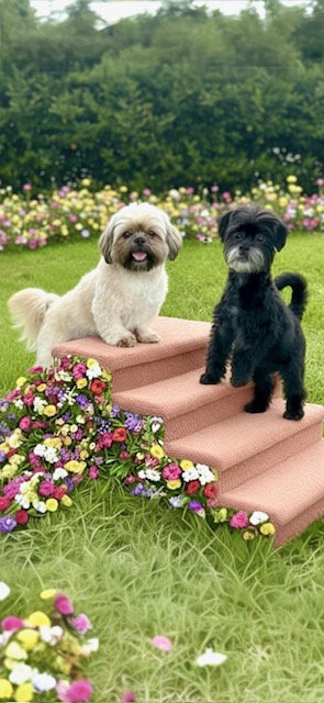 Ruffles & Truffles