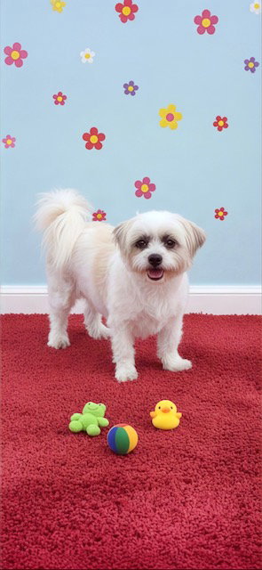 Cassie & Cindy, photo 4