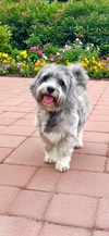 Rudy - Photo 1
