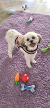 Lola Kay - Photo 2