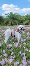 Lola Kay - Photo 3