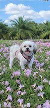 Lola Kay - Photo 4