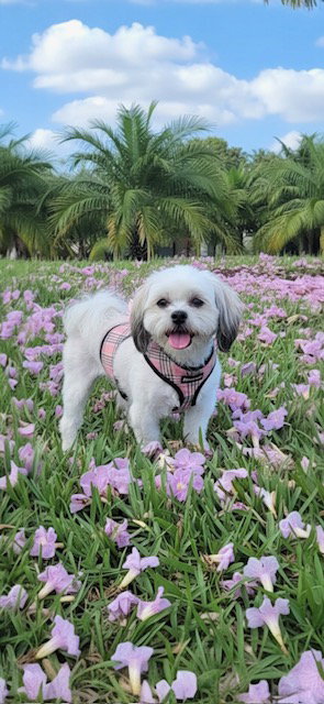 Lola Kay