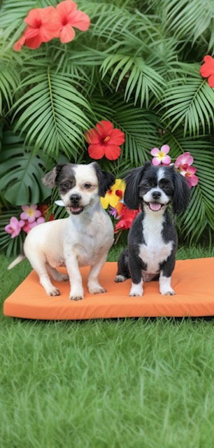 Sunny & Sally