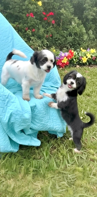 Sunny & Sally