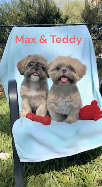 Max & Teddy