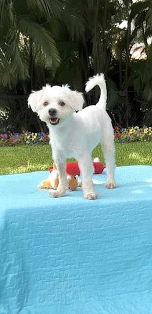 Casper