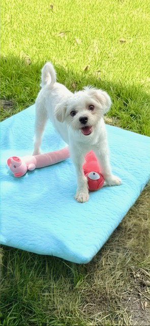 Casper photo 2