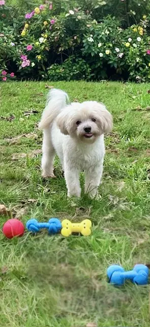 Casper image 3