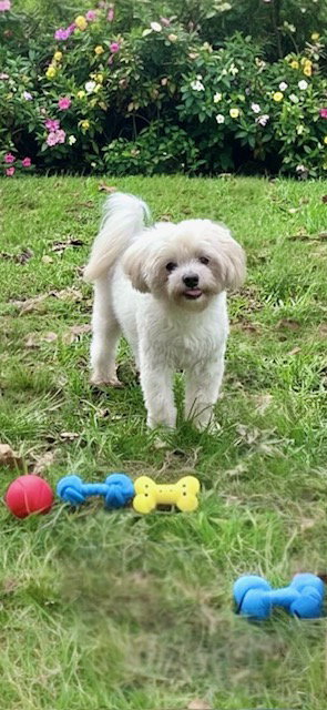 Casper photo 3