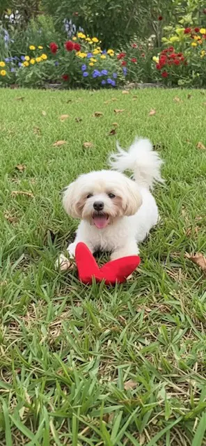 Casper image 4