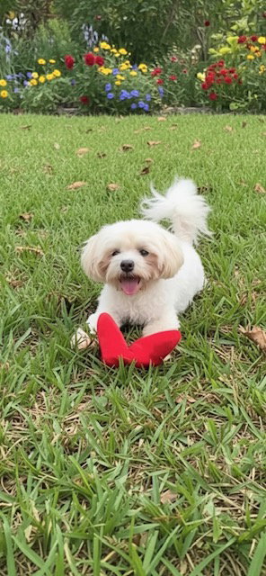 Casper photo 4