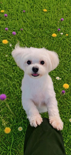Casper, photo 2