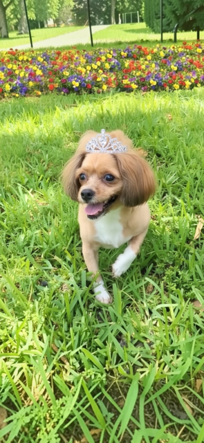 Diamond, photo 4