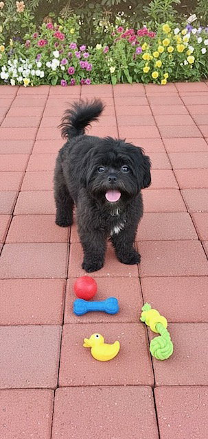 Rocky Ray, photo 3