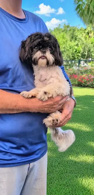 Gracie Von image 4