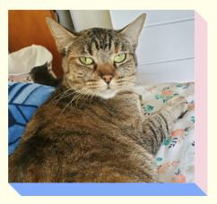 Photo 2 of Pepper
