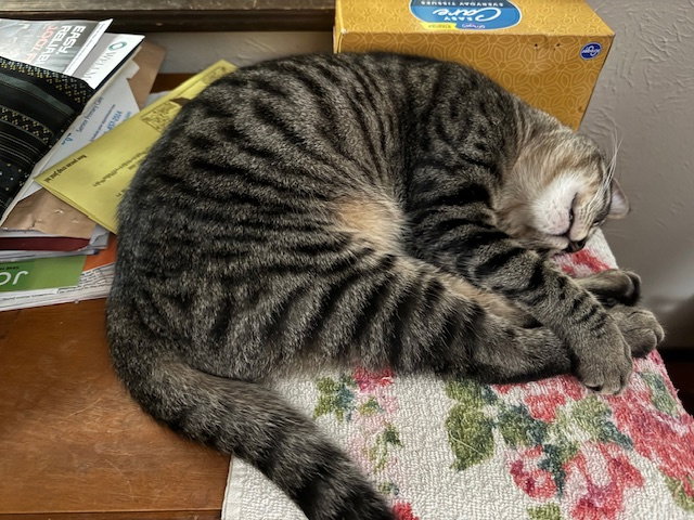 Max M., photo 18